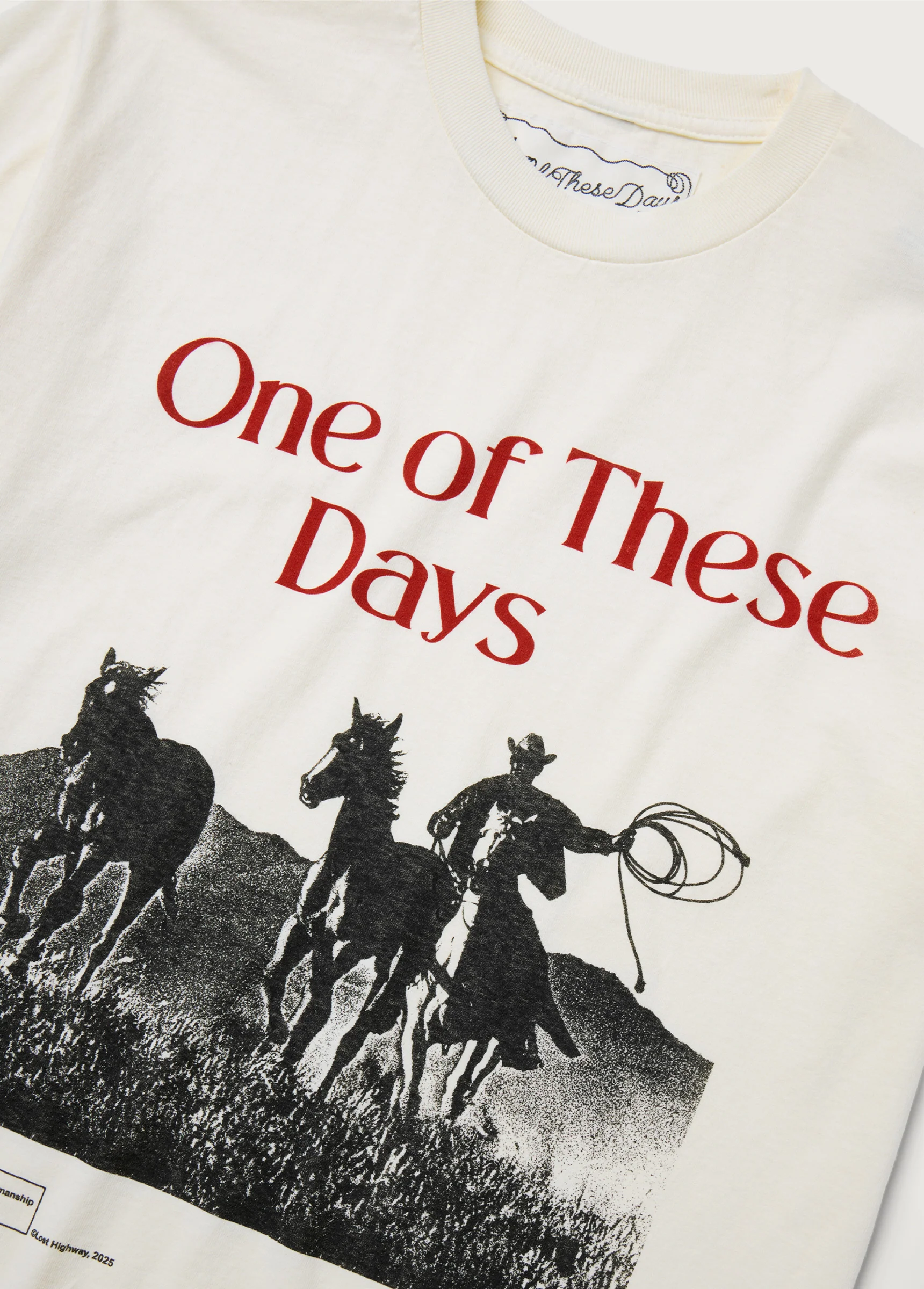Across The Planes T-Shirt | Bone - Image 2