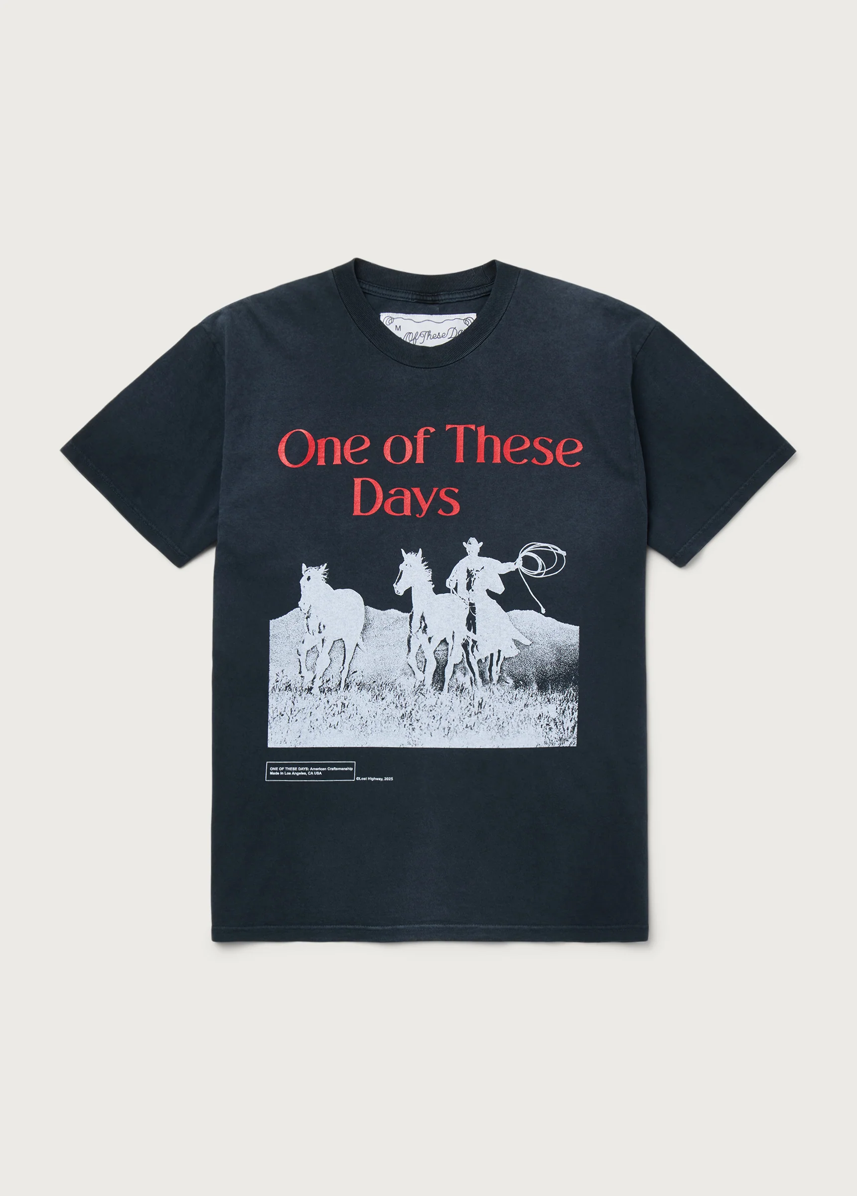Across The Planes T-Shirt | Sun Faded Black