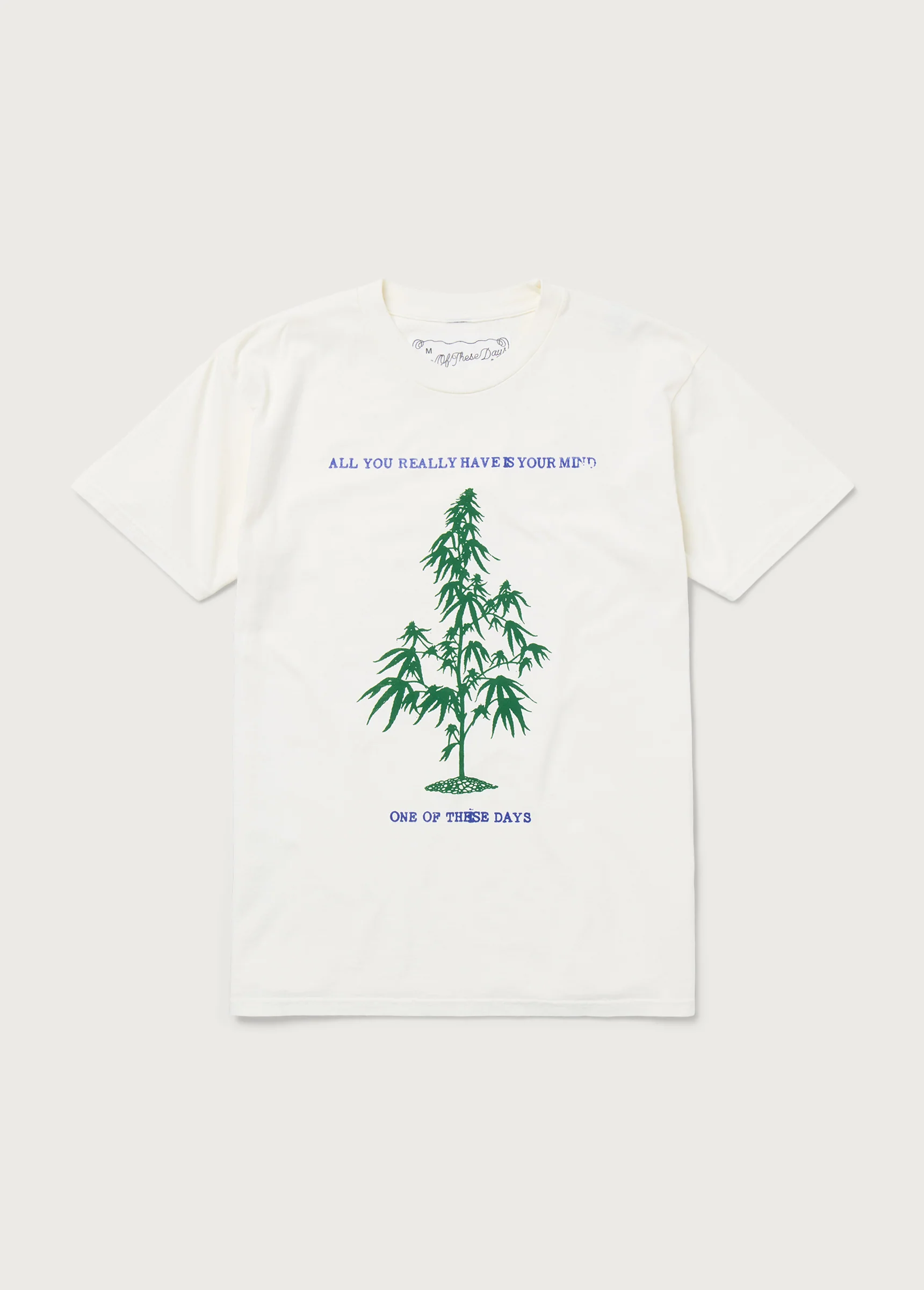 All You Really Have is Your Mind T-Shirt | Bone