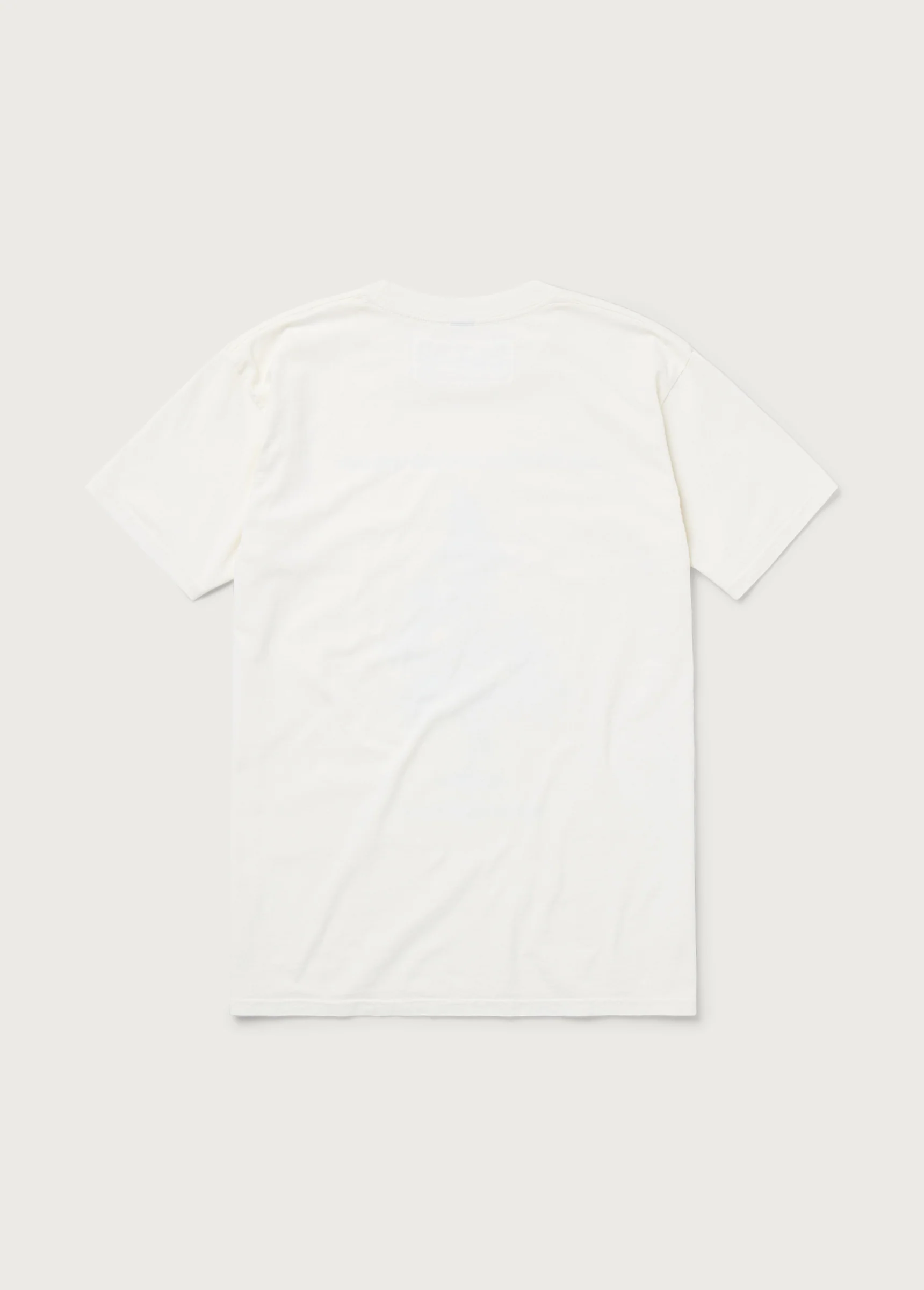 All You Really Have is Your Mind T-Shirt | Bone - Image 2