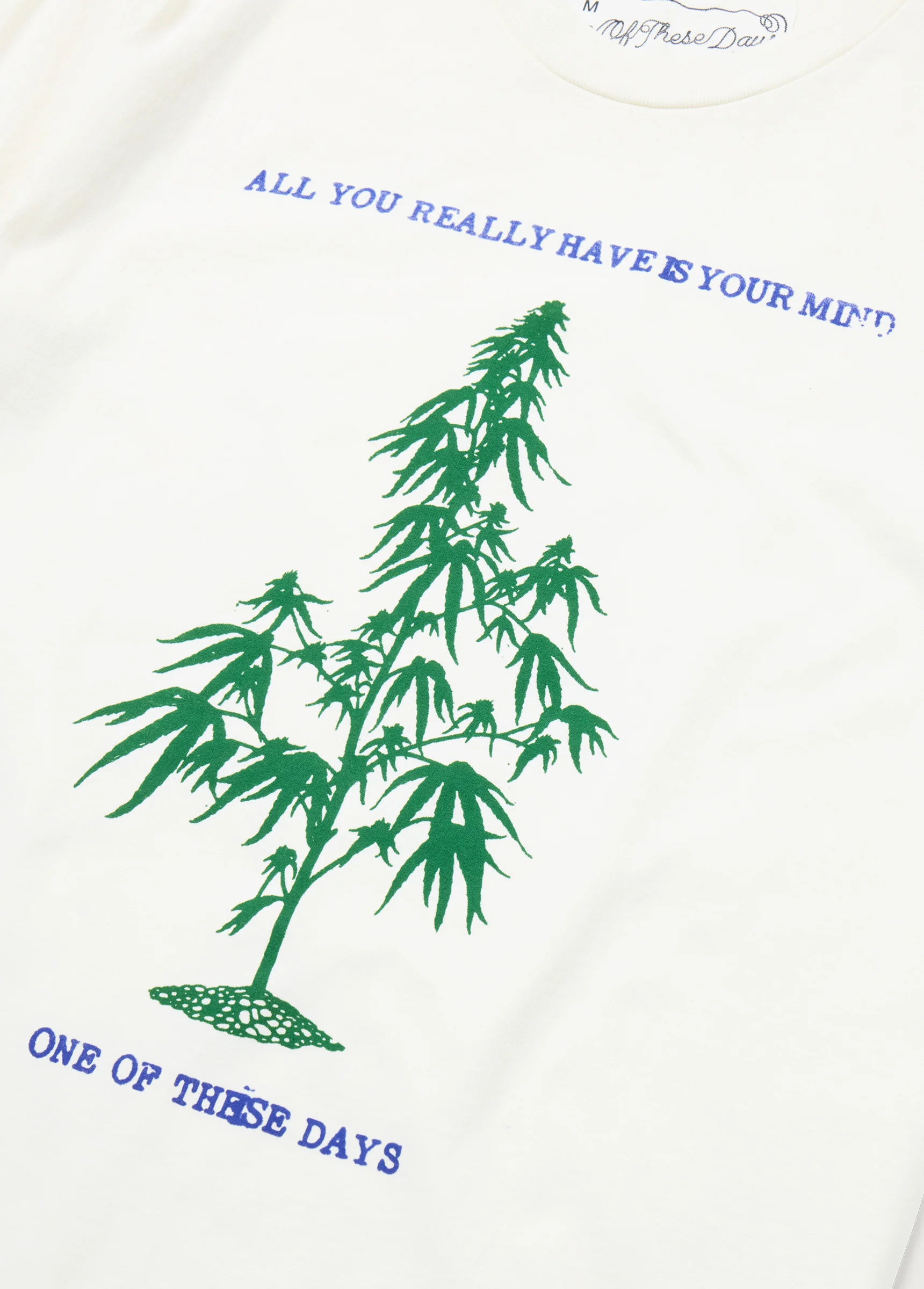 All You Really Have is Your Mind T-Shirt | Bone - Image 3
