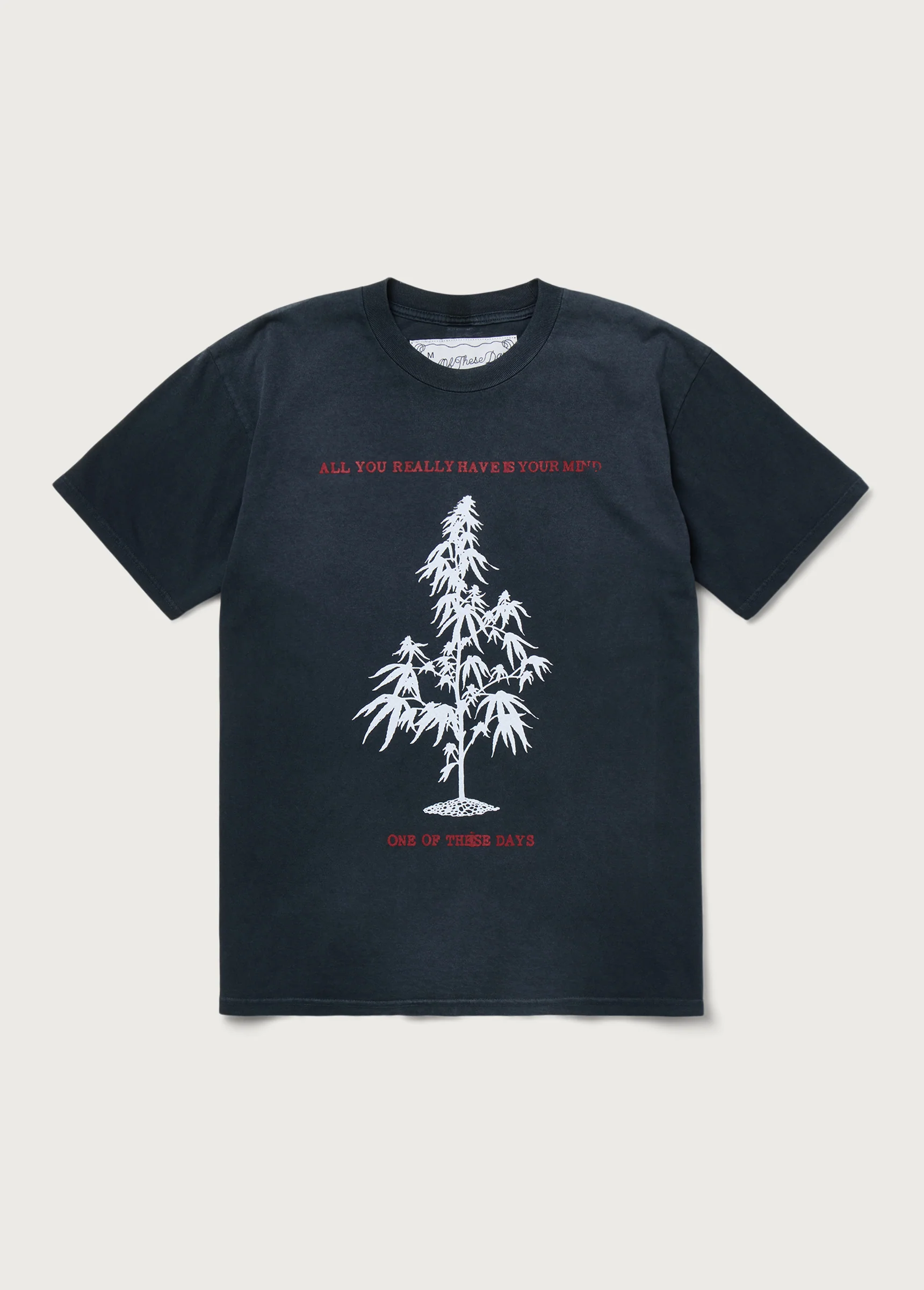 All You Really Have is Your Mind T-Shirt | Sun Faded Black