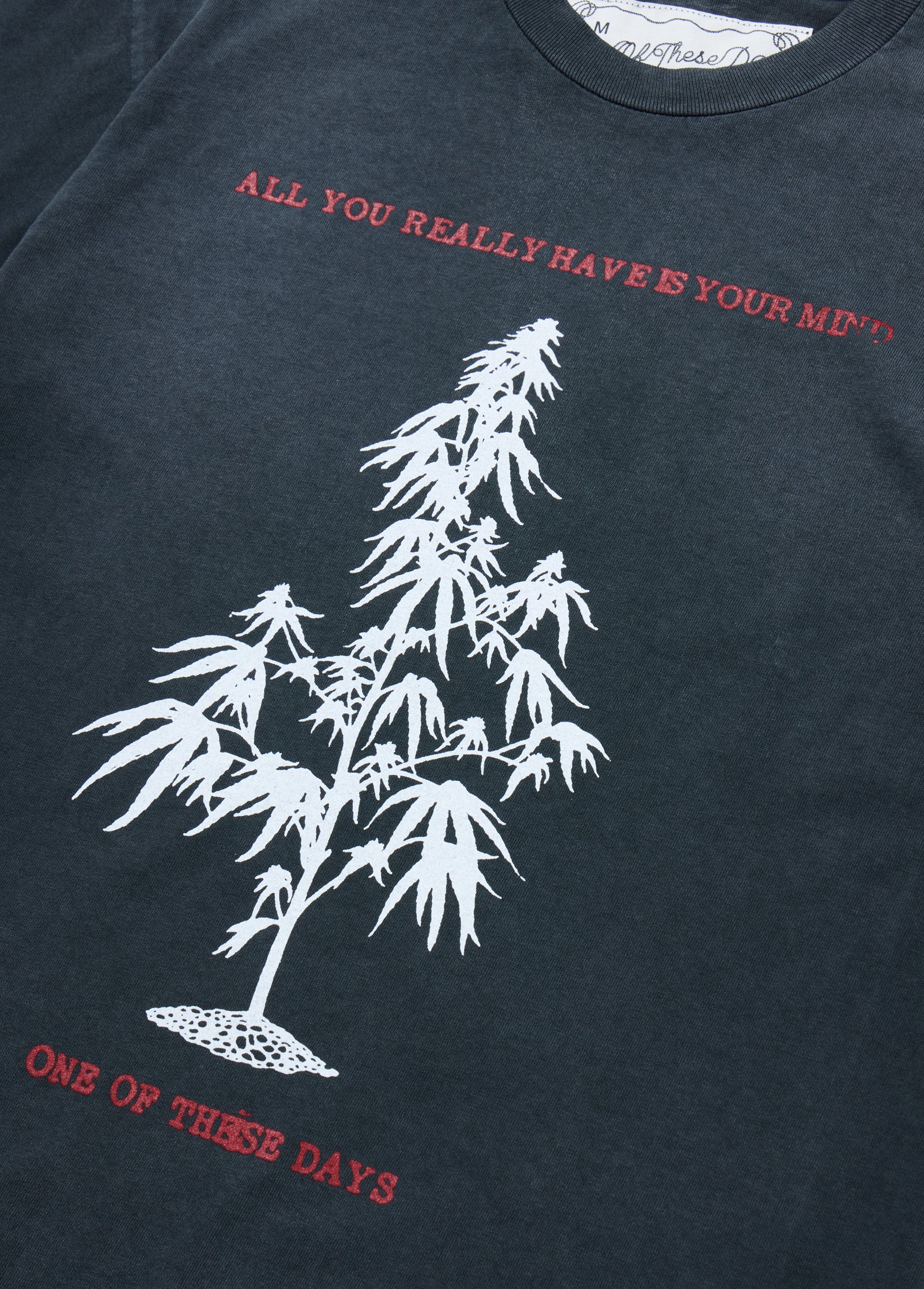 All You Really Have is Your Mind T-Shirt | Sun Faded Black - Image 3