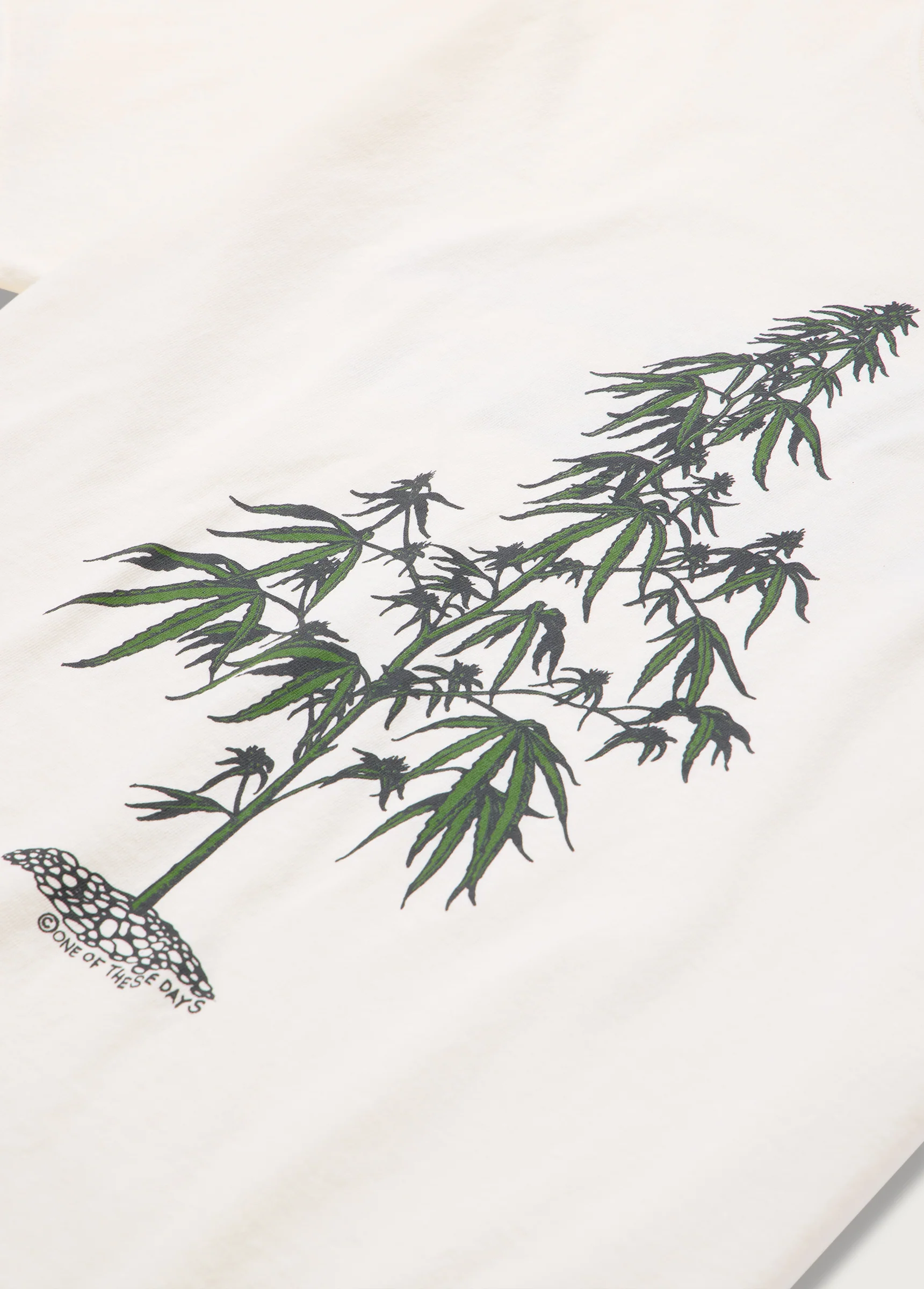 Away Go Troubles Tee | Bone - Image 3