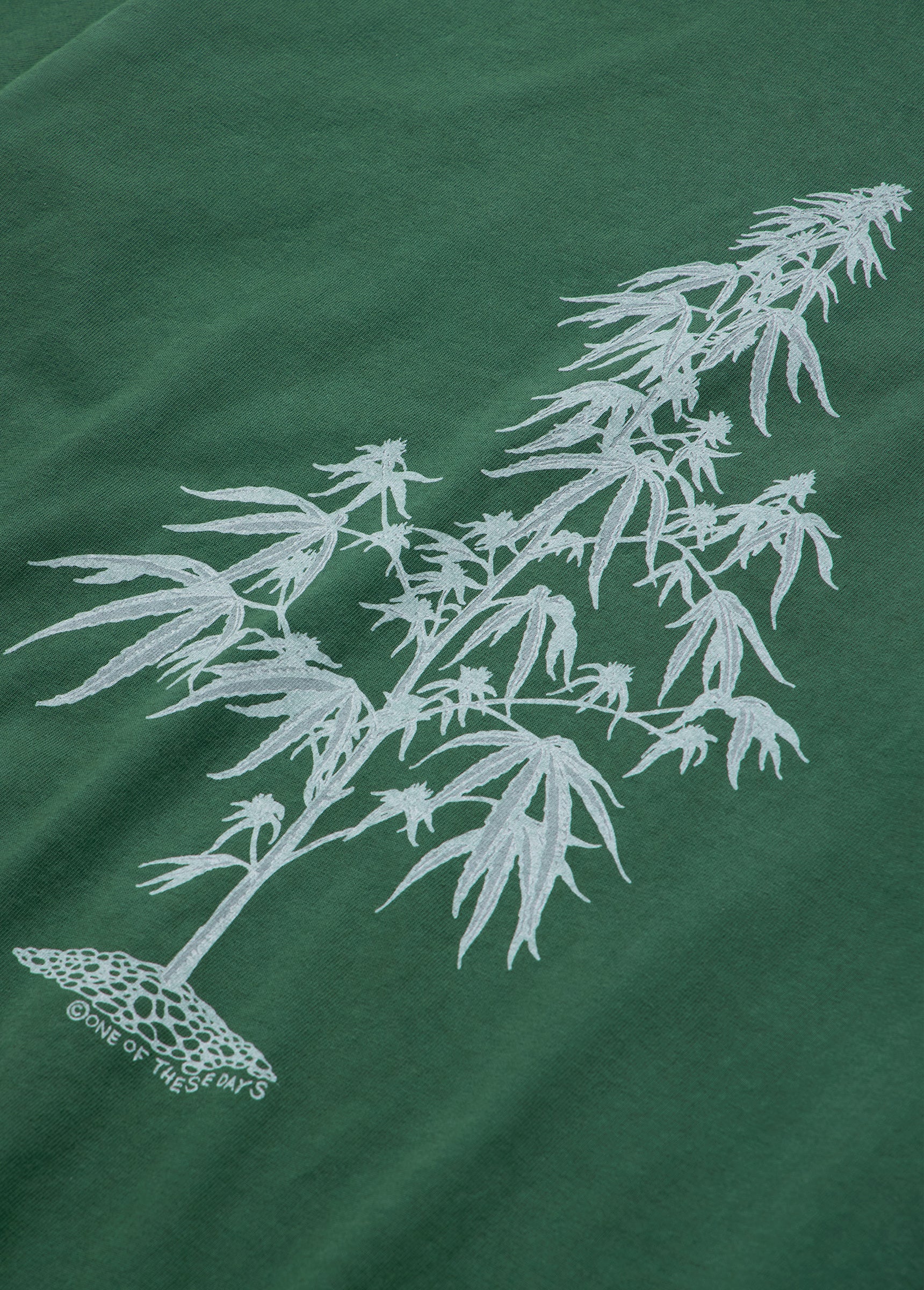 Away Go Troubles Tee | Washed Forest - Image 3