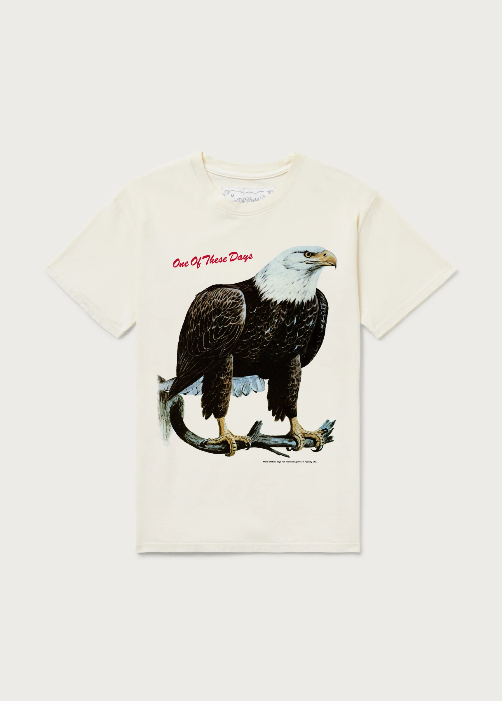 Bird of Prey Tee | Bone