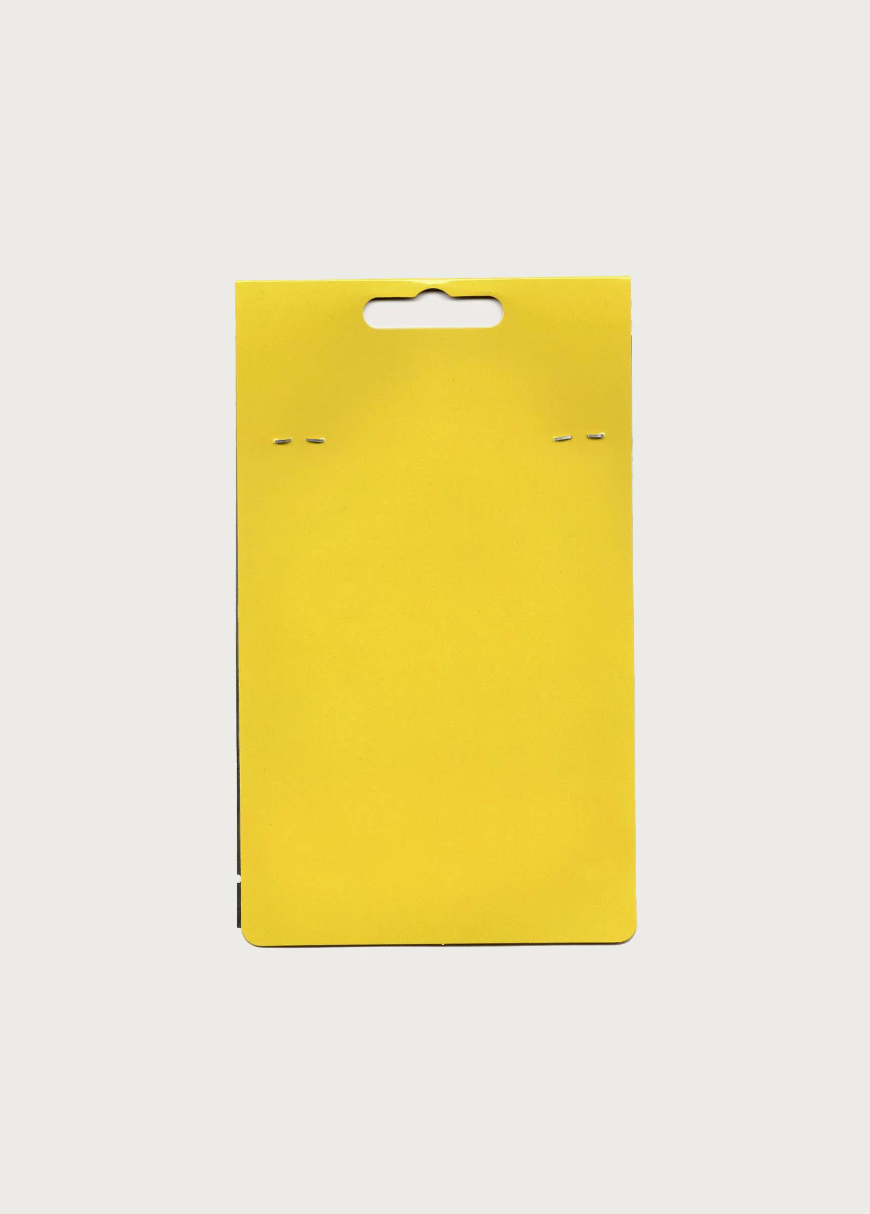 Cactus Air Freshener - Image 2