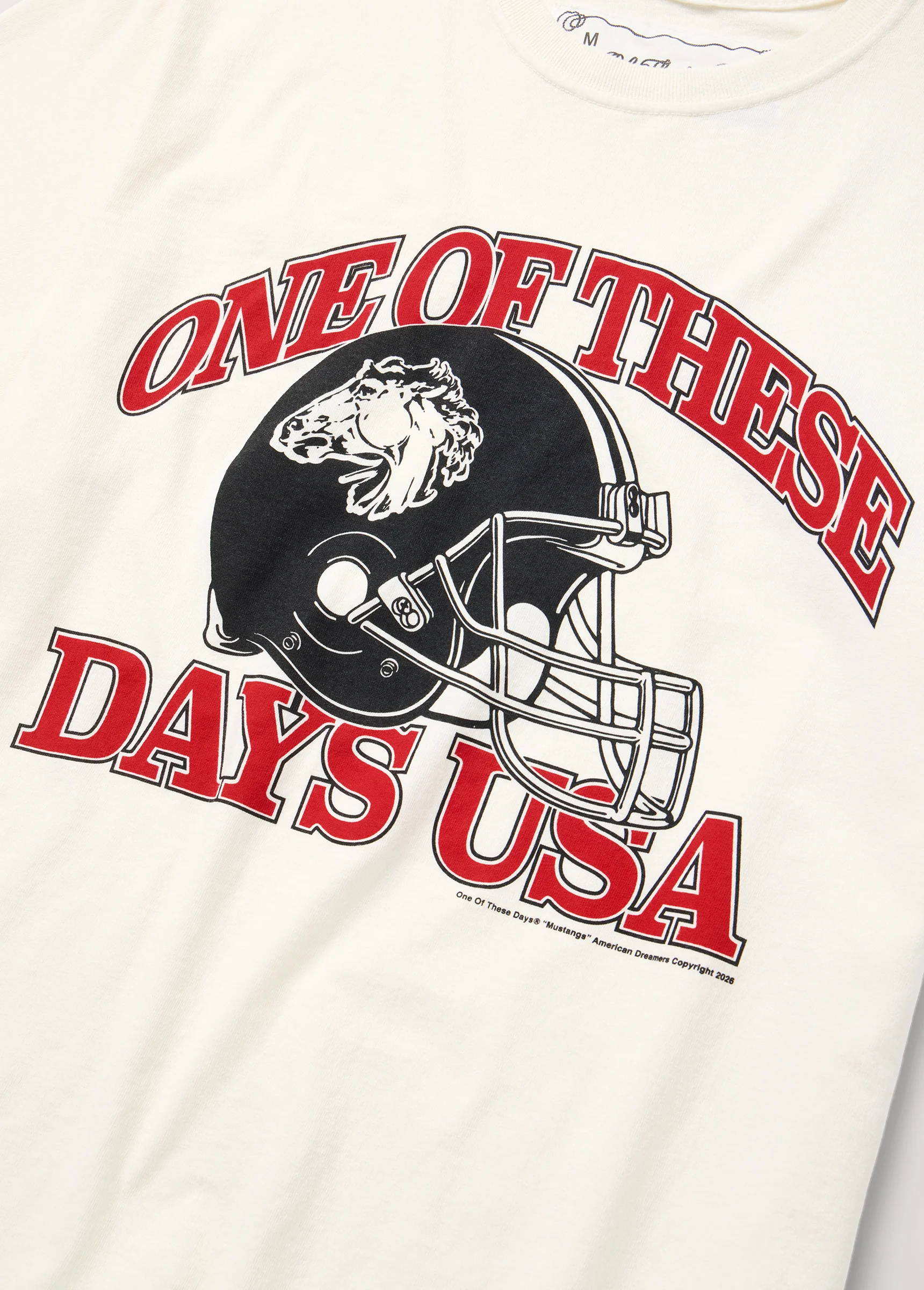 Days USA T-Shirt | Bone - Image 2