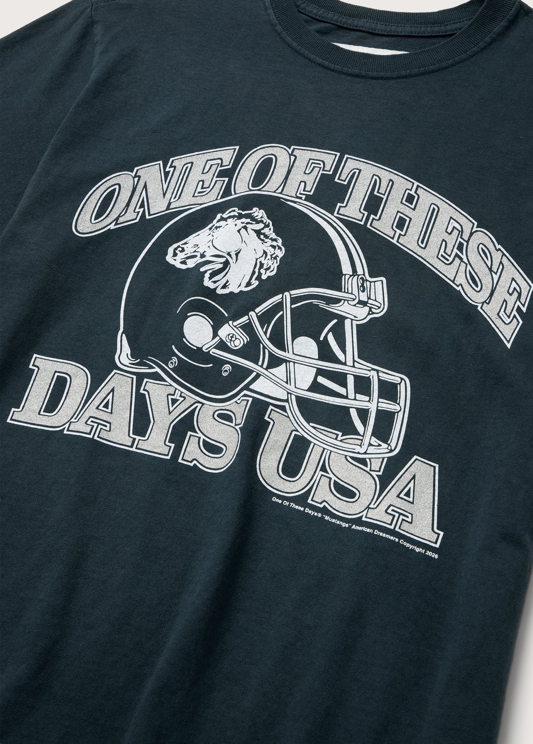 Days USA T-Shirt | Washed Black - Image 2