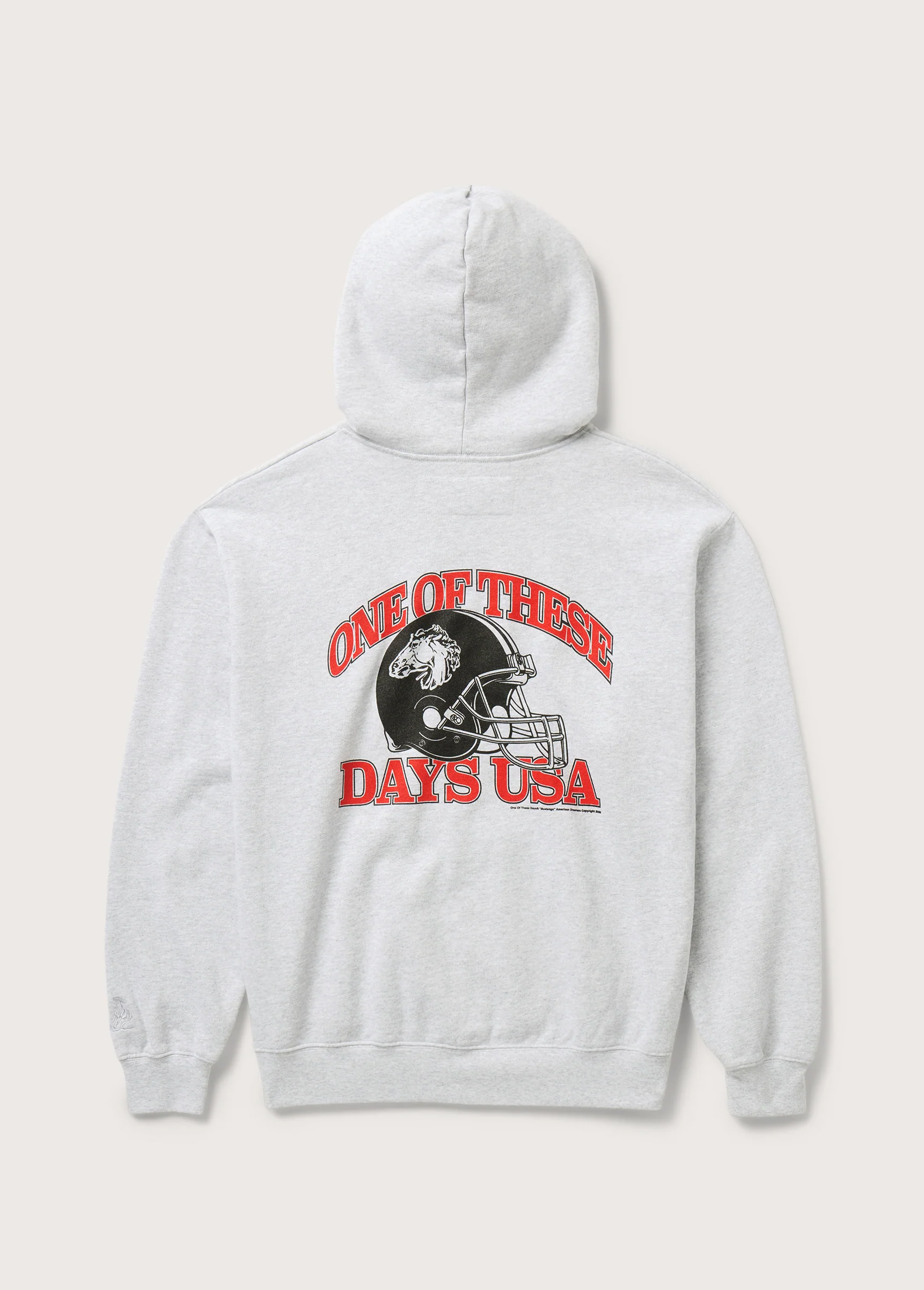 Days USA Zip Up Hooded Sweatshirt | Heather Grey - Image 2
