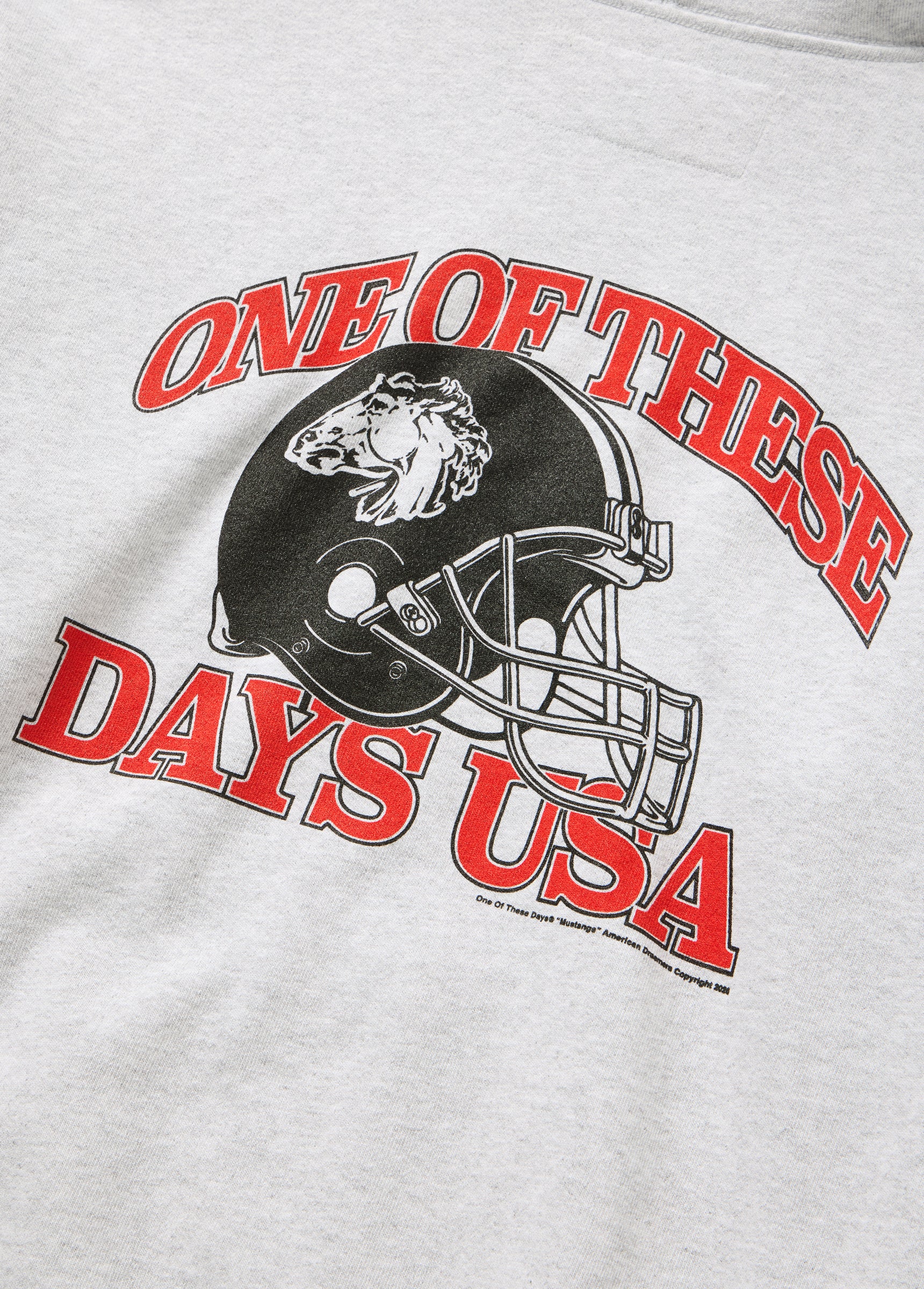 Days USA Zip Up Hooded Sweatshirt | Heather Grey - Image 4