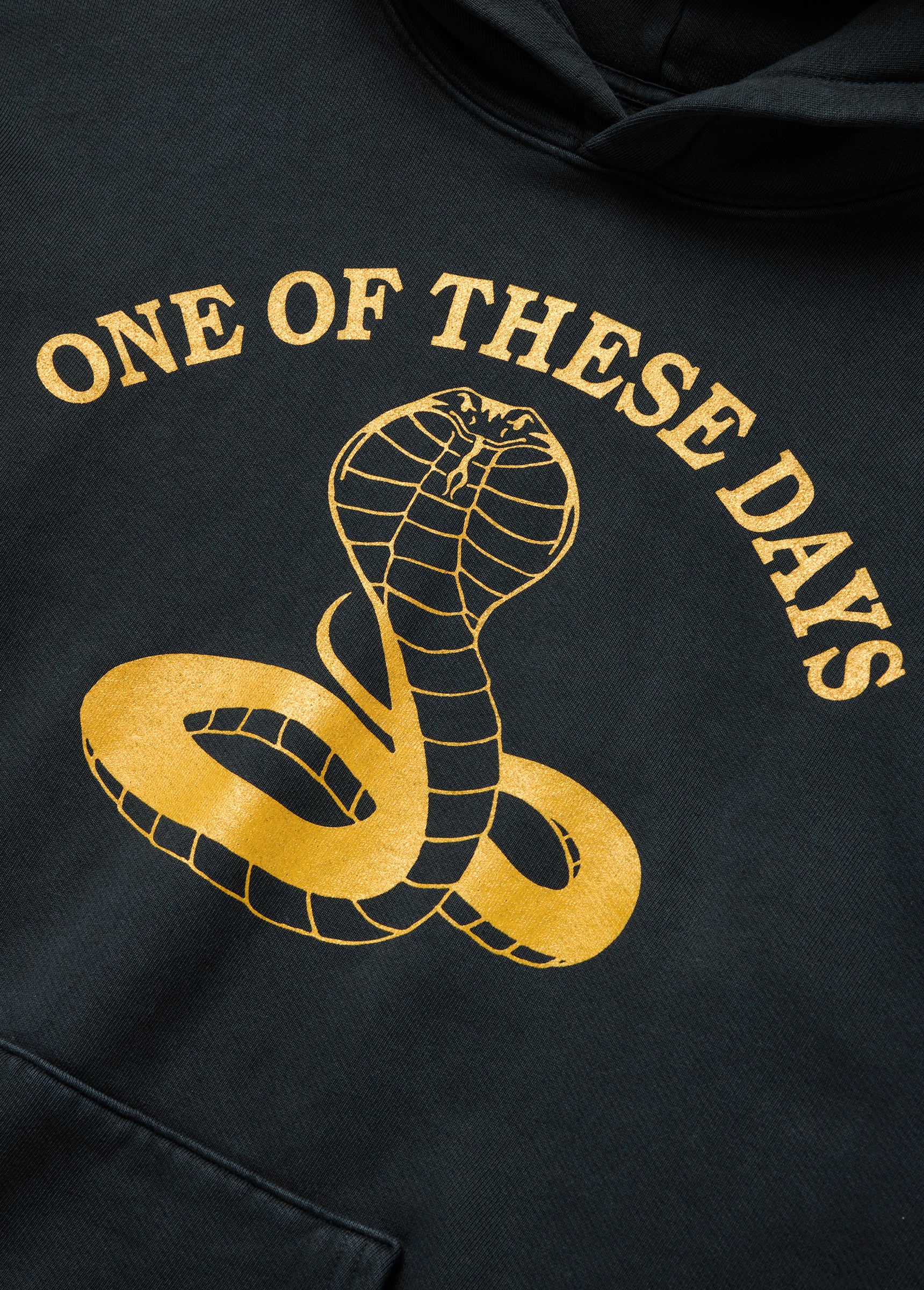 Cobra Hooded Sweatshirt | Washed Black - Image 2