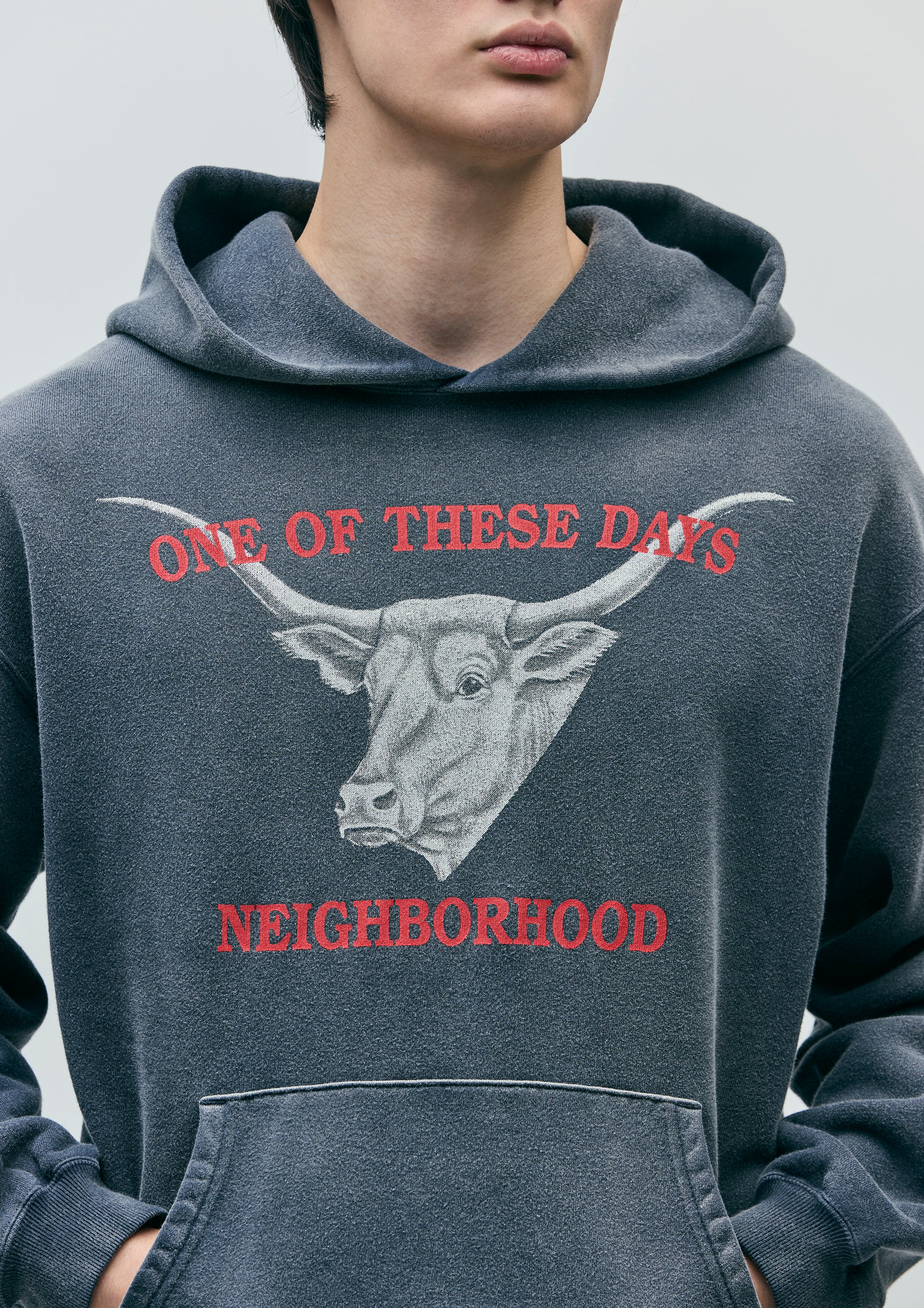 NBHD/OTD - Longhorn Hooded Sweatshirt | Sun Faded Black - Image 7