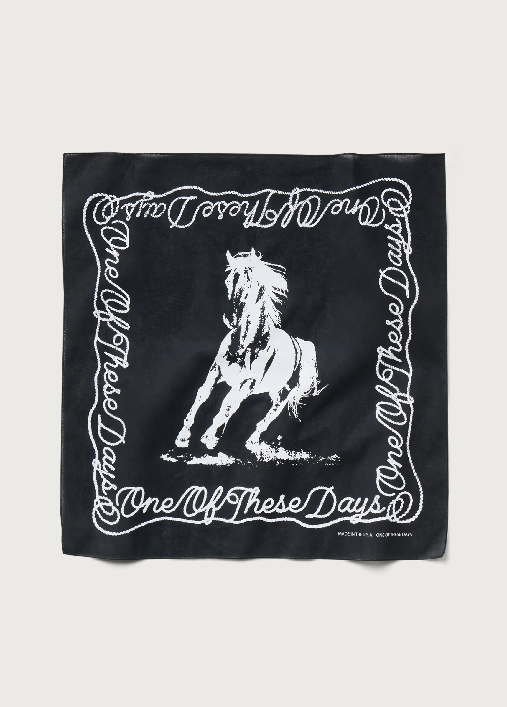 One of These Days Bandana | Black