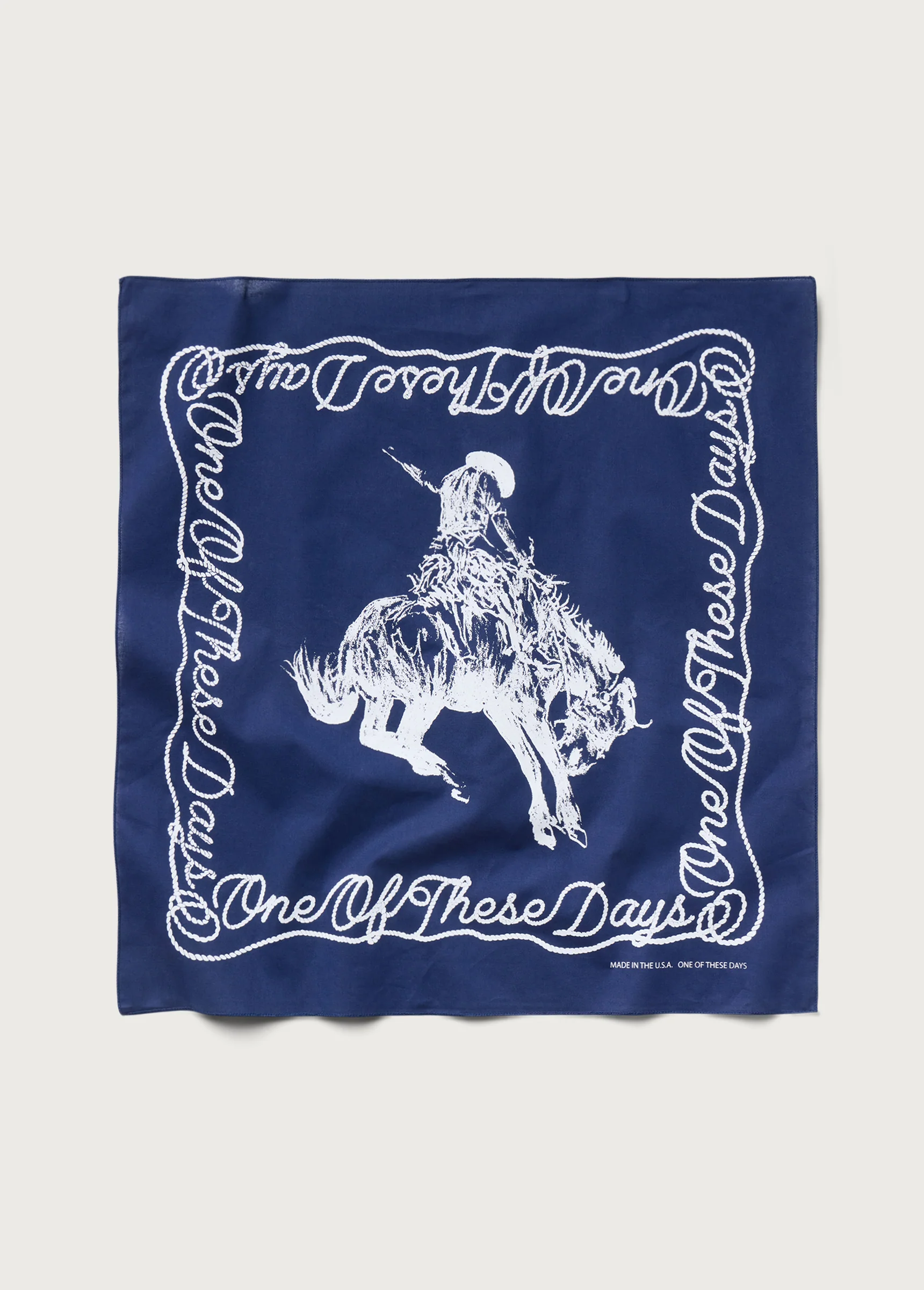 One of These Days Bandana | Navy