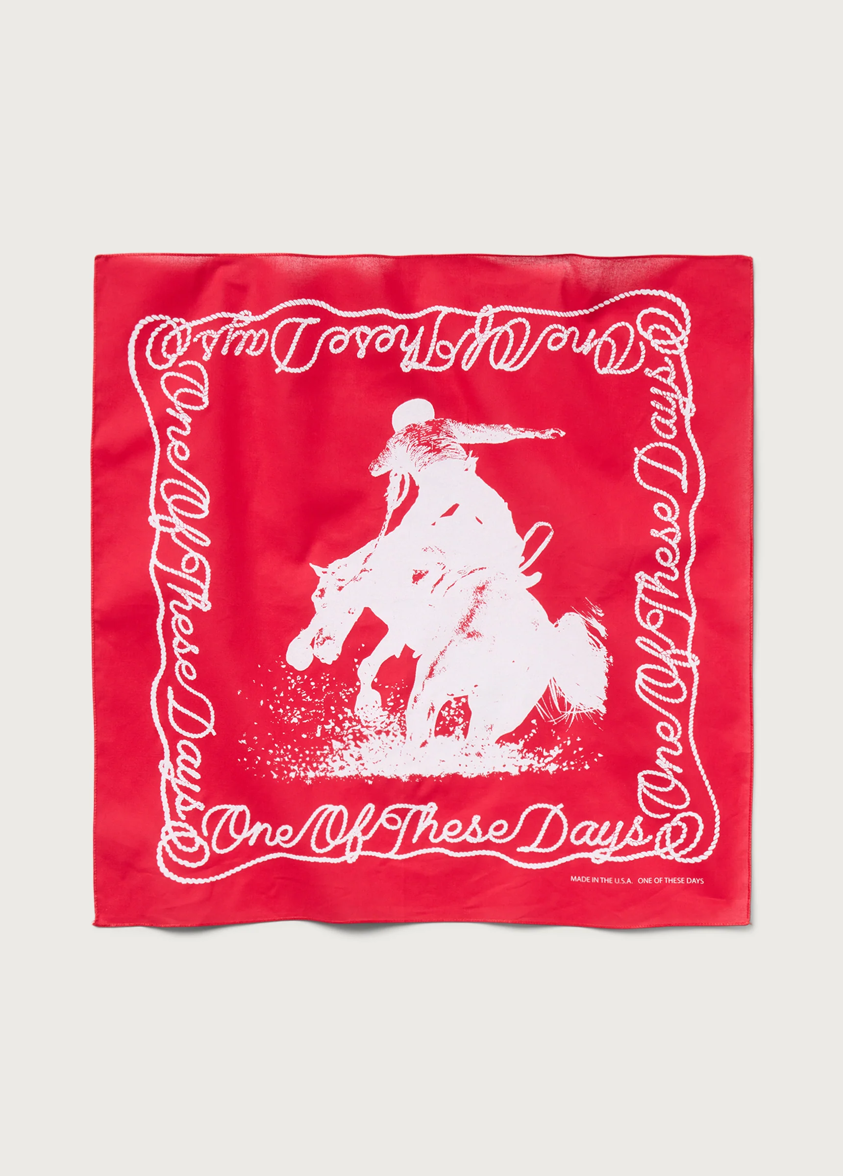 One of These Days Bandana | Red