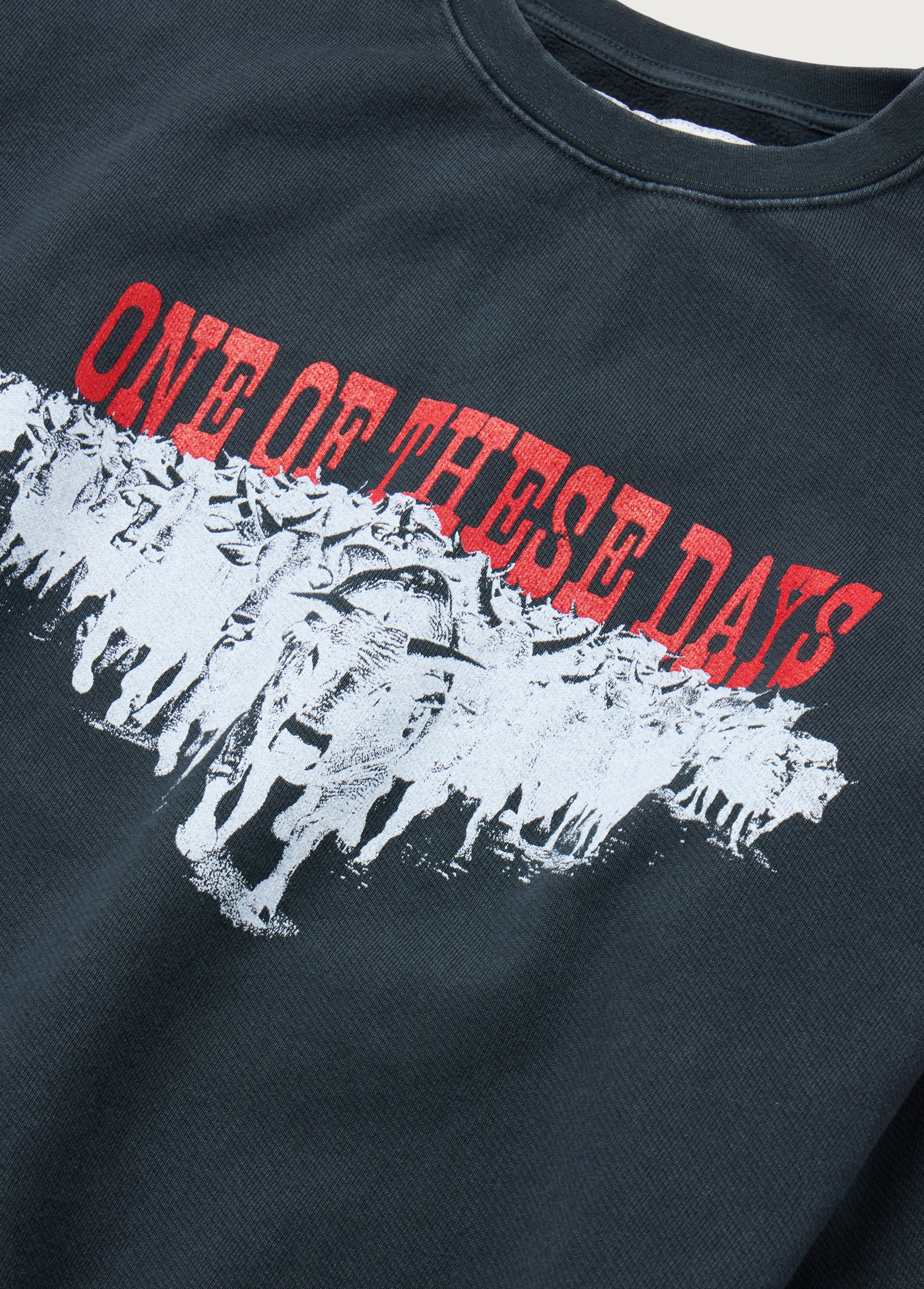 Stampede Crewneck | Washed Black - Image 3