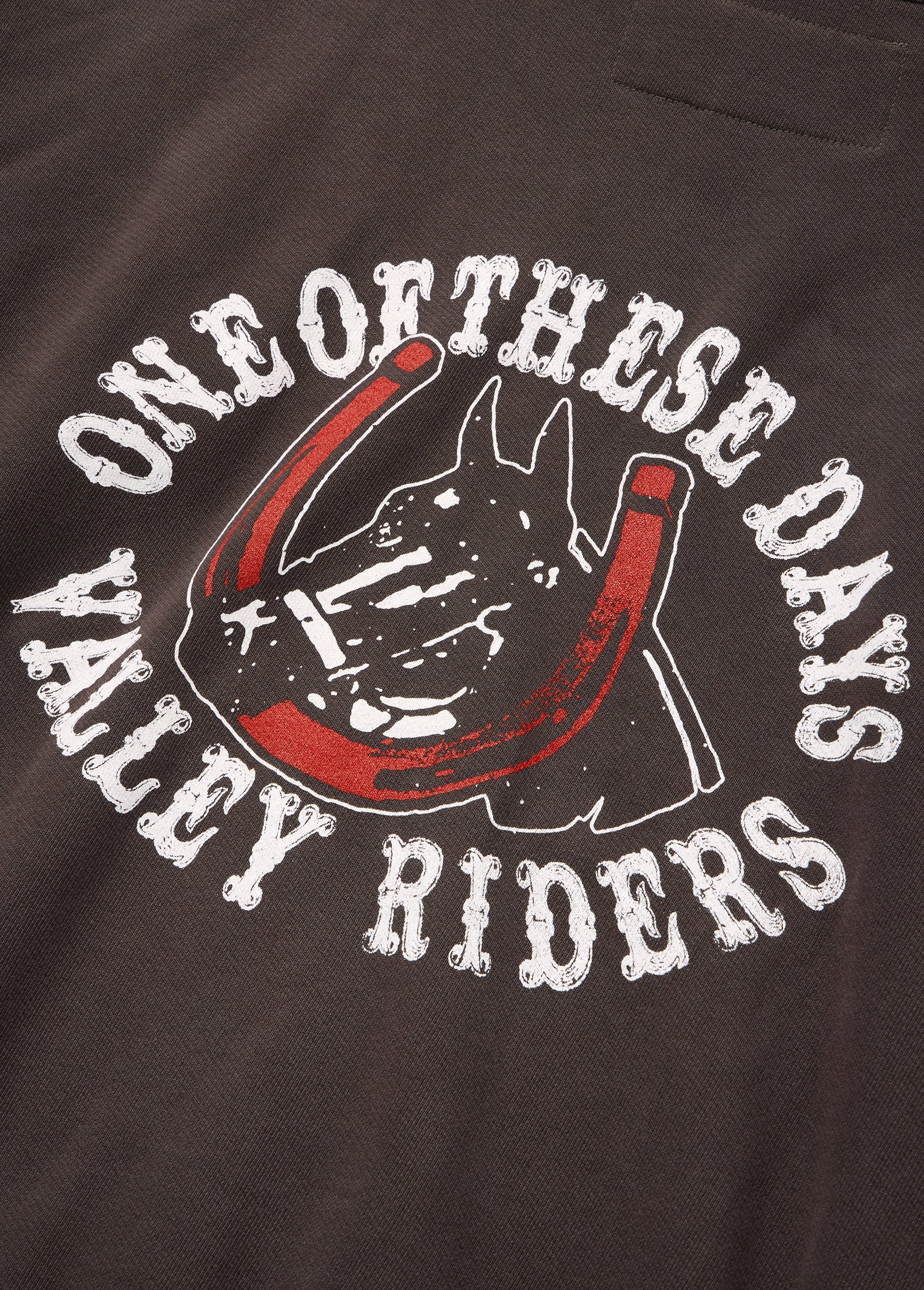 Valley Riders Zip Up Hooded Sweatshirt | Sun Faded Washed Brown - Image 4