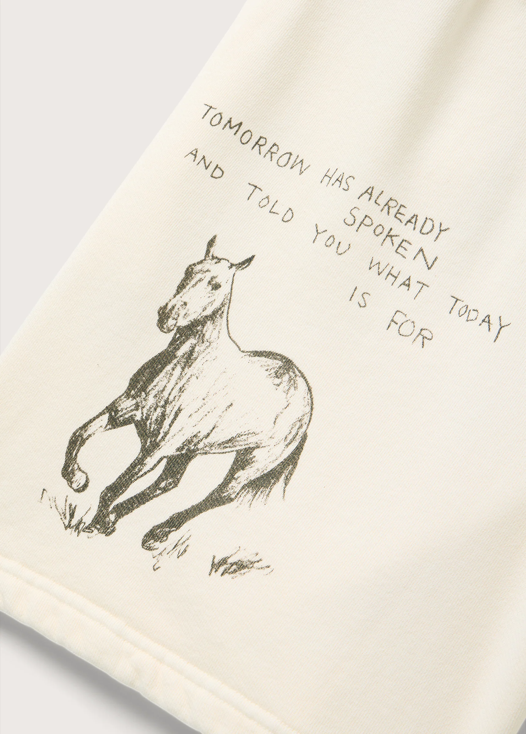 What Today Is For Sweatshort | Bone - Image 4
