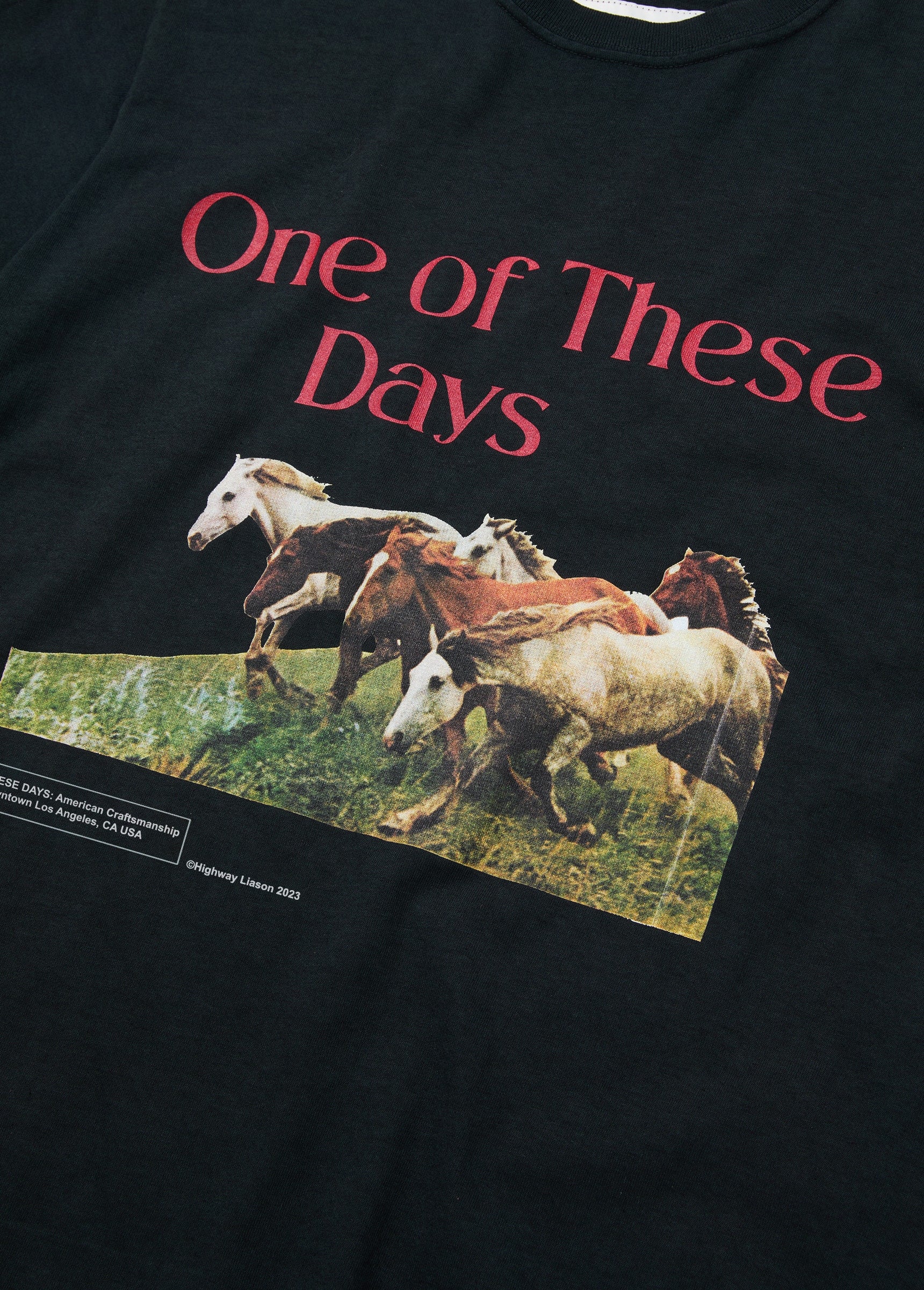 Wild Horses T-Shirt | Washed Black - Image 3