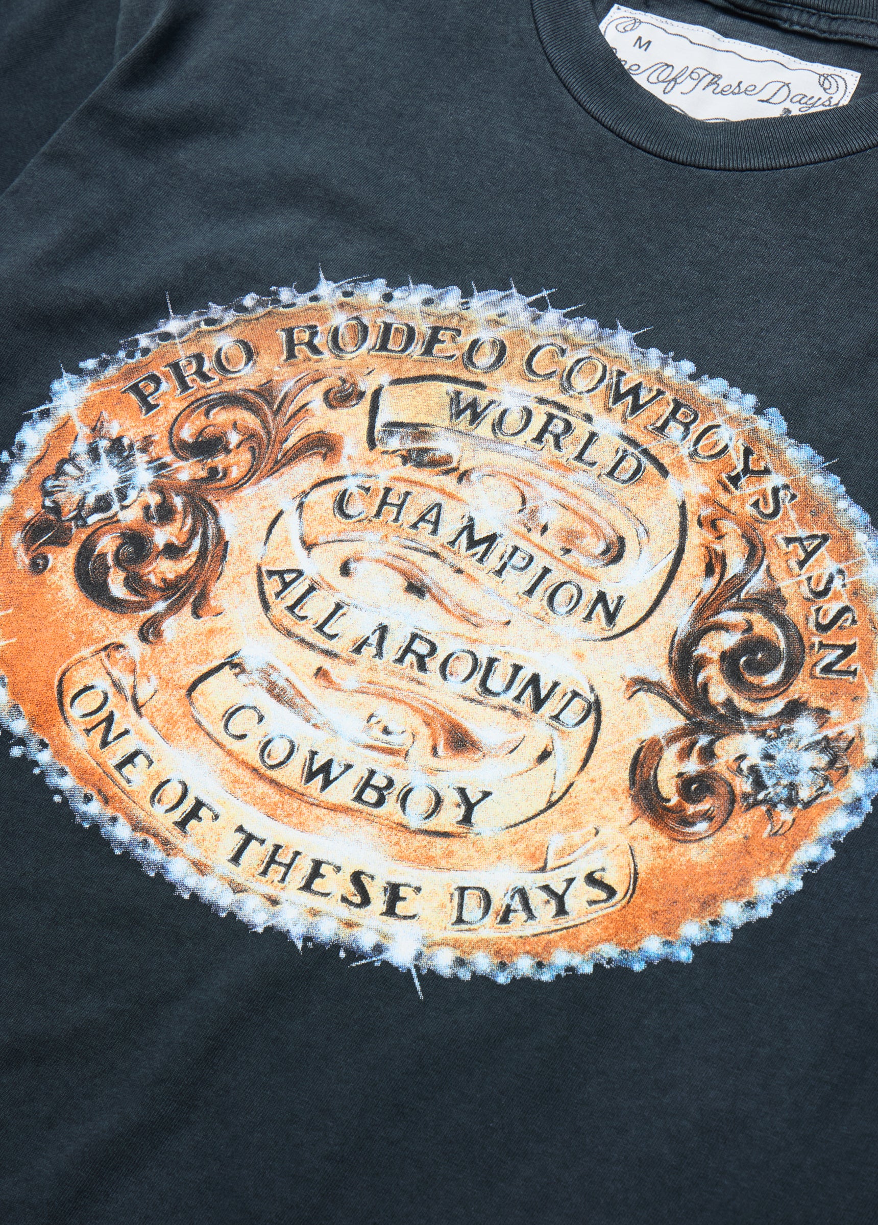 World Champions T-Shirt | Sun Faded Black - Image 3